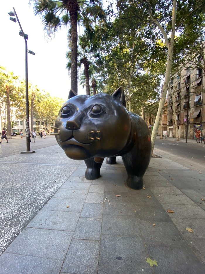 Imagen 10 de Gato de Botero