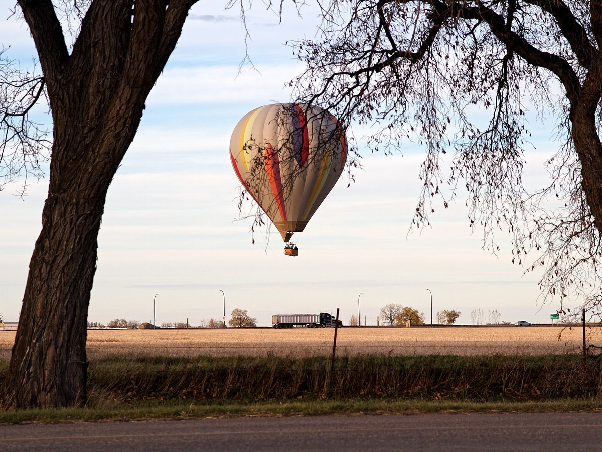 Kiss The Sky Balloons - All You Need to Know BEFORE You Go (with Photos)