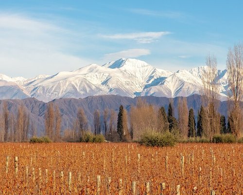 Mendoza Travel Guide: 33 Top Things to Do in Mendoza, Argentina