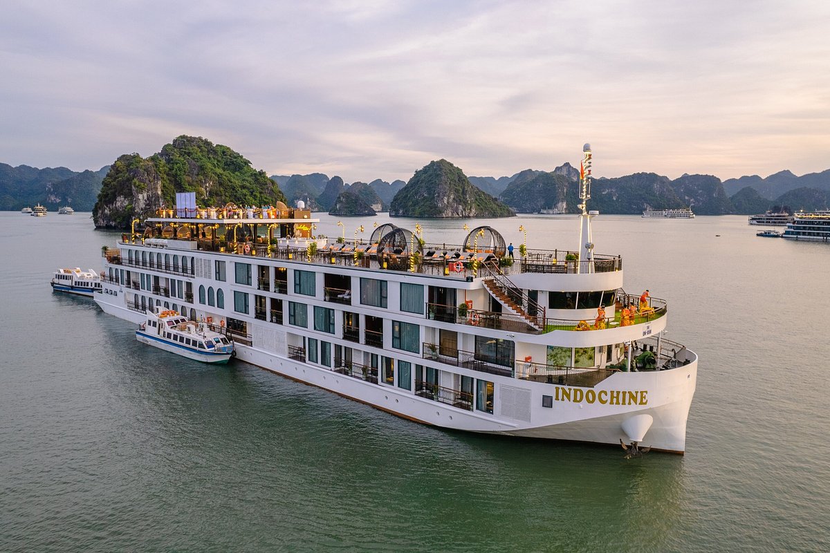 Indochine Premium Cruise Halong Bay: Reviews & Price 2024