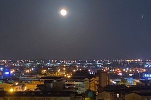 旅客