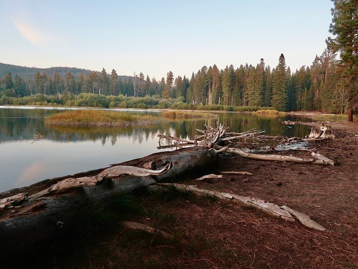 Devastated Area Trail in Lassen Volcanic National Park — Flying Dawn Marie