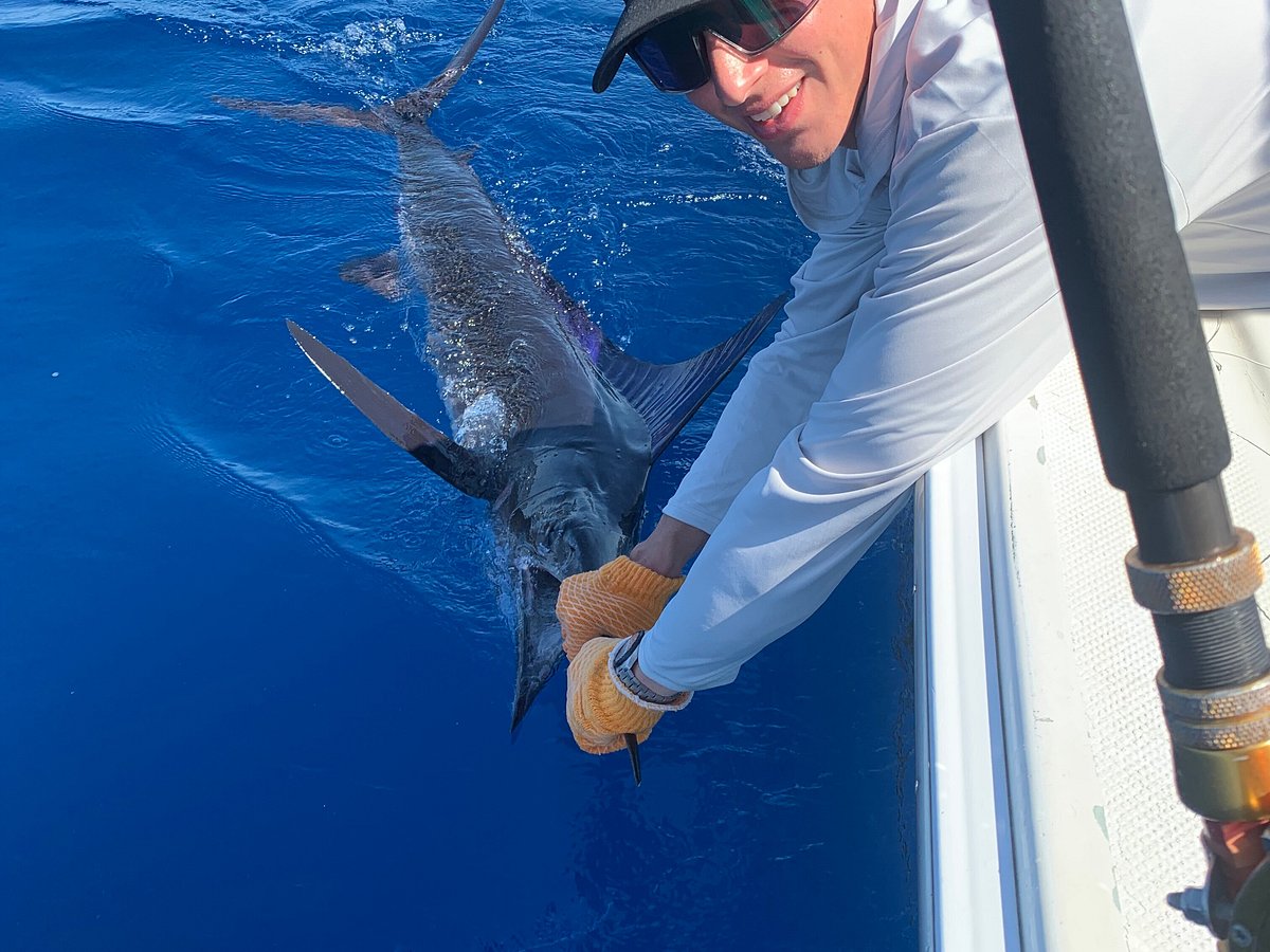 Let's Not Be So Worried About the Marlins Just Yet - Fish Stripes