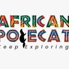 African polecat safaris