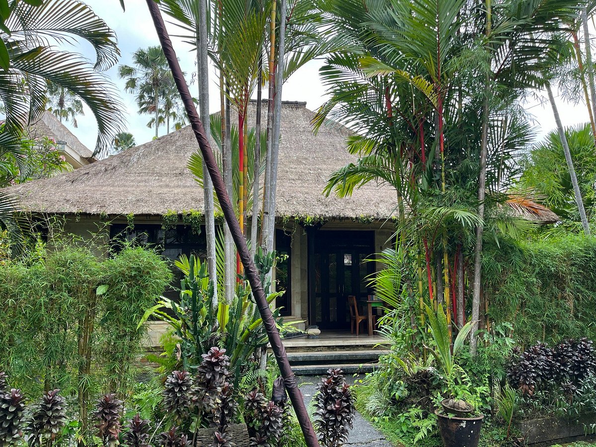 SAMA'S COTTAGES AND VILLAS - Updated 2024 Prices & B&B Reviews (Ubud, Bali)