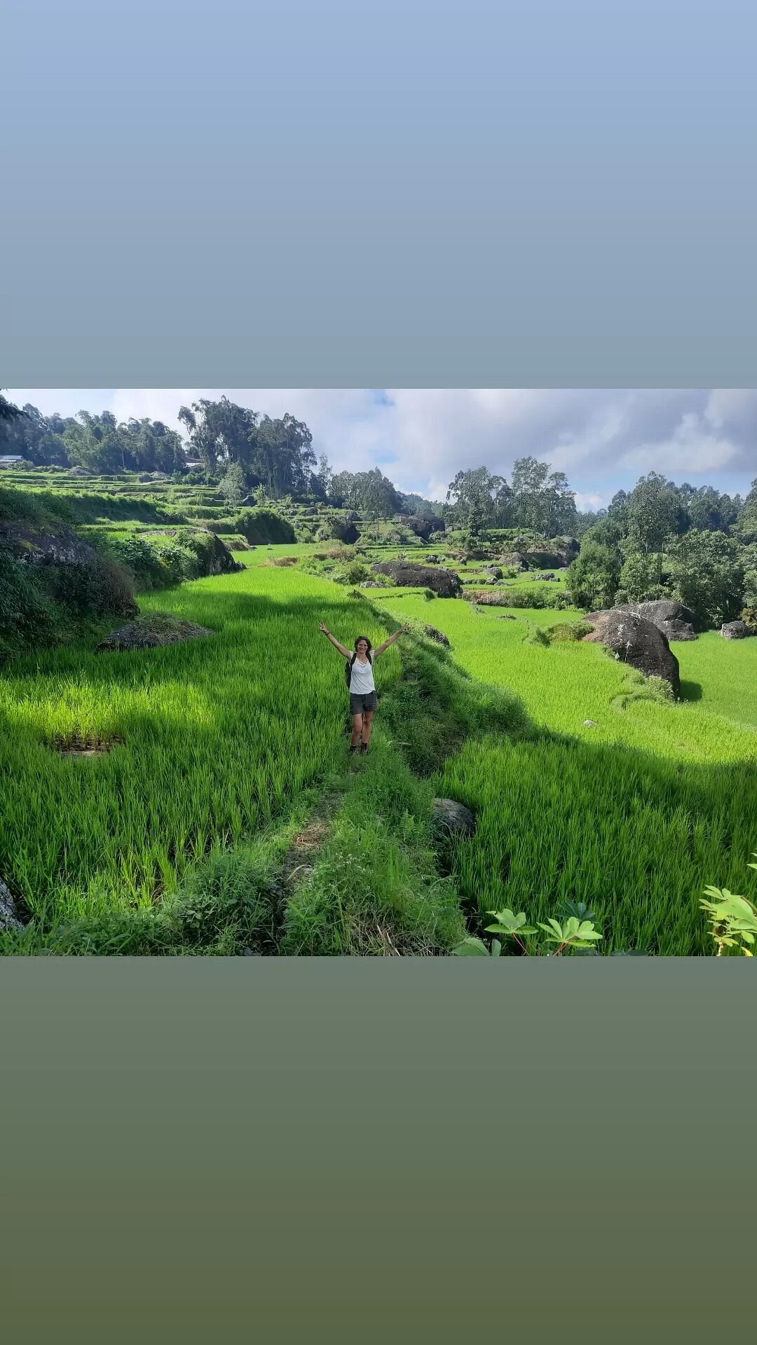 TemuTamu Tana Toraja Indonesia Address Tripadvisor temutamu-tana-toraja-indonesia-address-tripadvisor
