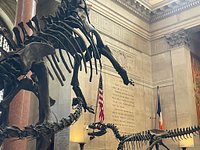 American Museum of Natural History – Museum Review