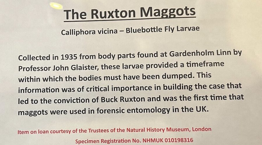 The Ruxton Maggots