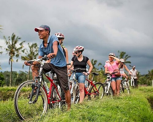 Specialized S-Works Evade w/ANGi - Work Horse Bicycles