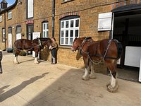 Hook Norton Brewery – Experience Oxfordshire