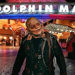 Dolphin Mall Miami: Entertainment, Shopping & MORE!