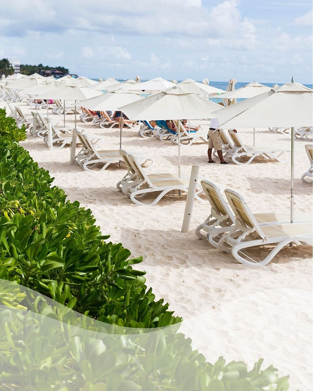 HOTEL RITZ PLAYACAR Riviera Maya Playa Del Carmen Mexique Tarifs 2024 hotel-ritz-playacar-riviera-maya-playa-del-carmen-mexique-tarifs-2024
