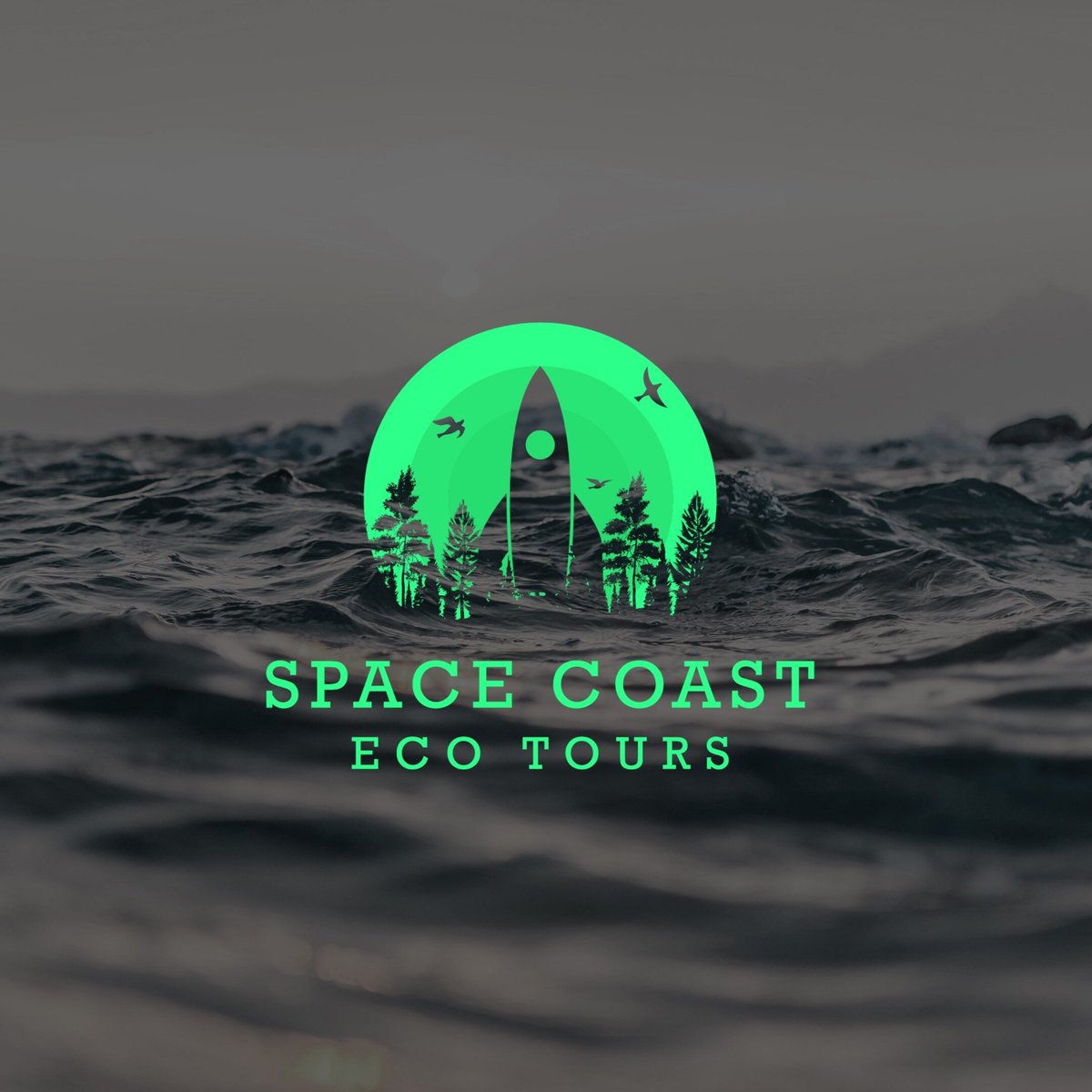 Space Coast Eco Tours - All You Need to Know BEFORE You Go (2024)