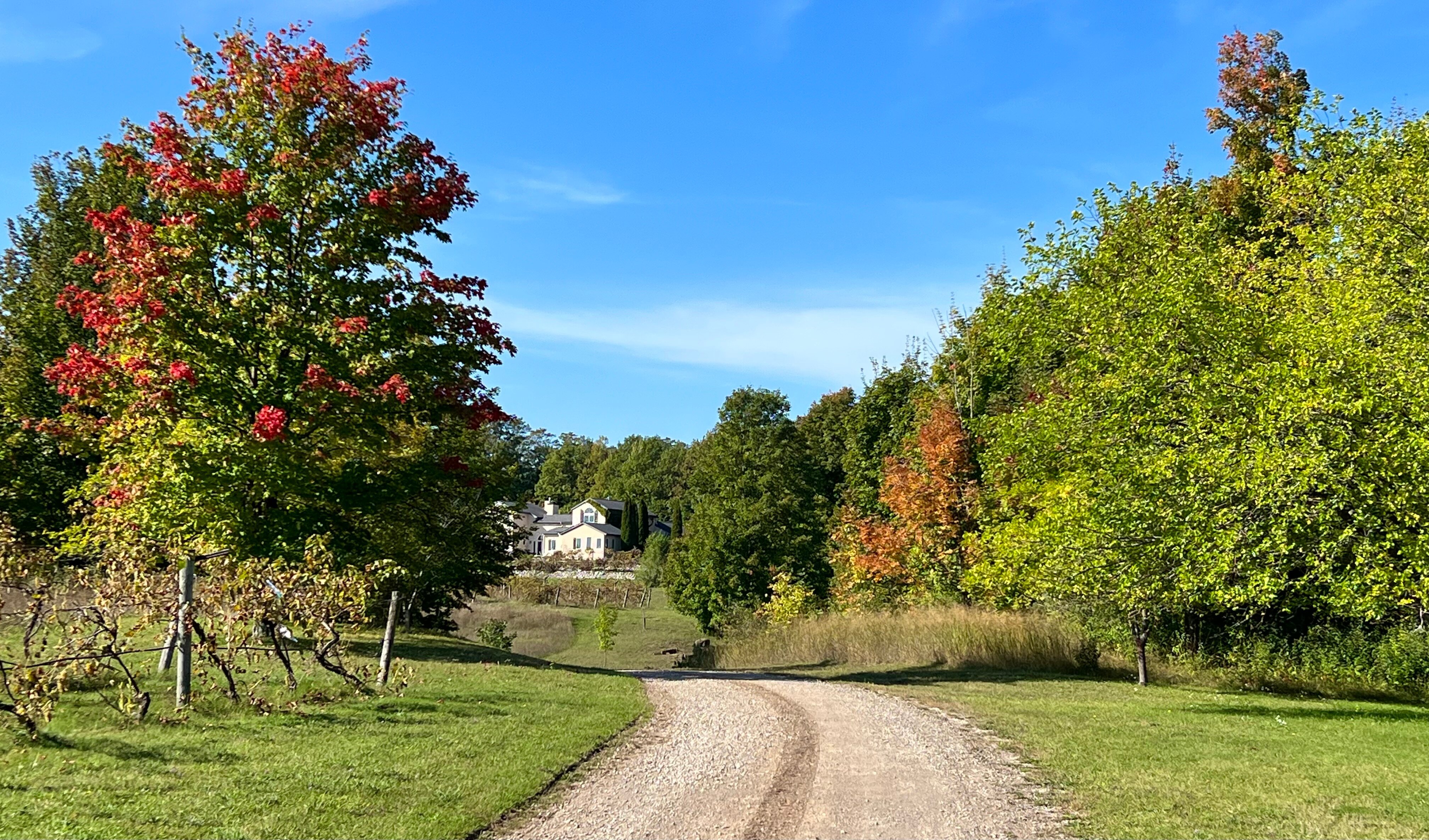 GREY HARE INN - Updated 2024 B&B Reviews (Traverse City, MI)