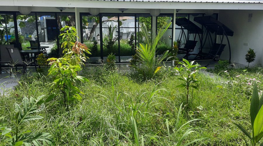 Front view of the guesthouse