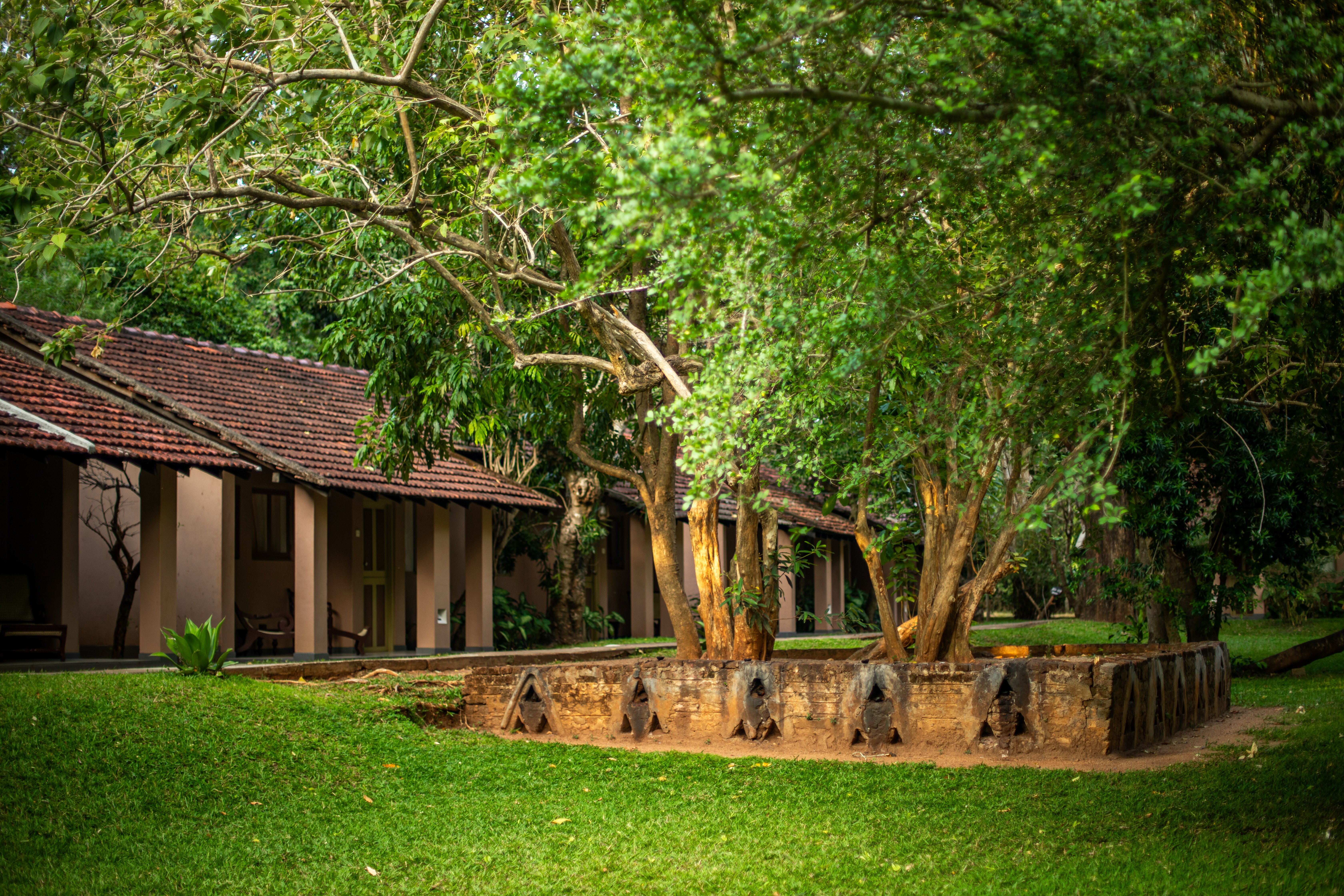 SIGIRIYA VILLAGE HOTEL - Updated 2024 Prices & Reviews (Sri Lanka)