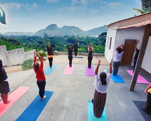 Yoga para promover a saúde cardiovascular e respiratória - Gaya Bem-Estar