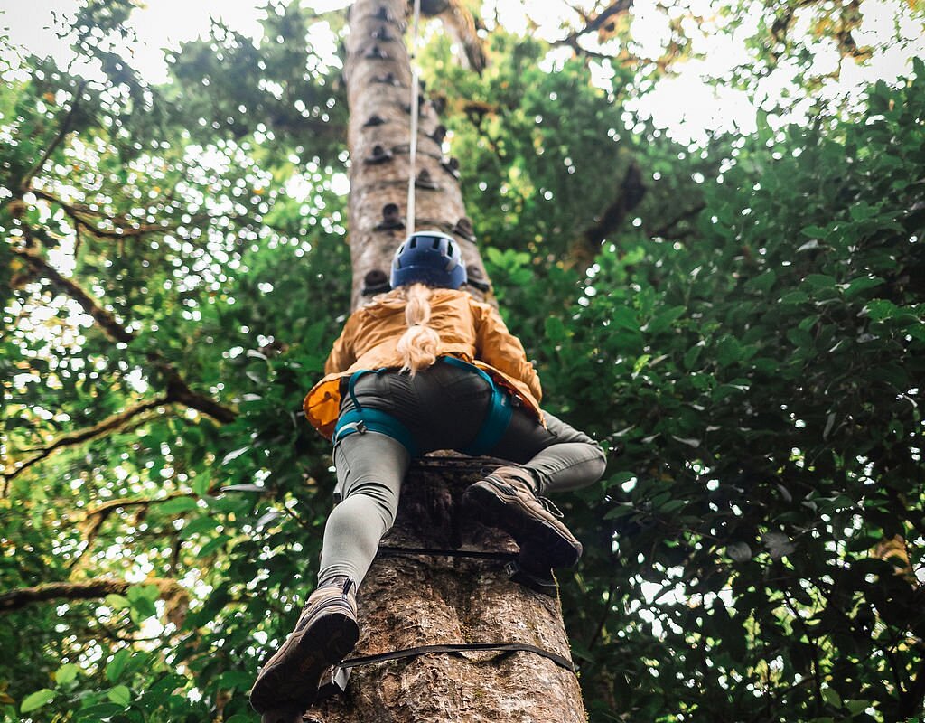 Monteverde Tree Climbing Experience