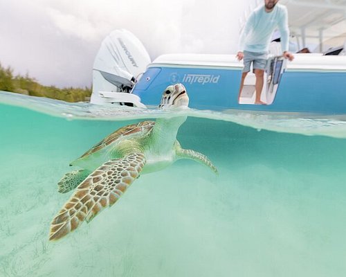 private boat excursions in bahamas