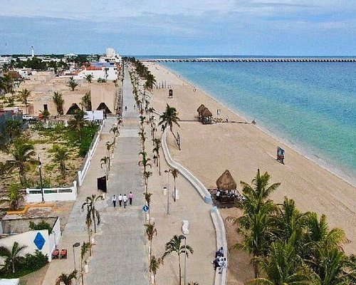 progreso yucatan shore excursions