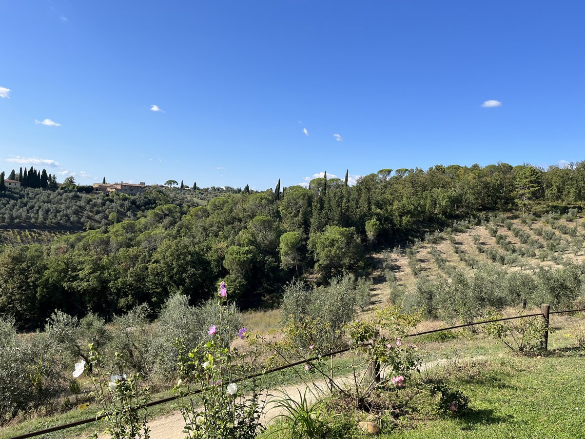 SALVADONICA - BORGO AGRITURISTICO DEL CHIANTI - Updated 2024 Prices & B ...