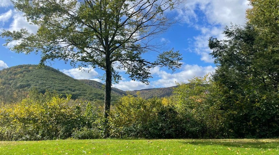 The absolute perfect glamping vacation