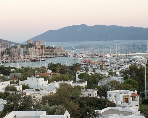 relax tours bodrum
