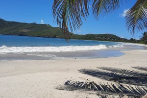 Viajante