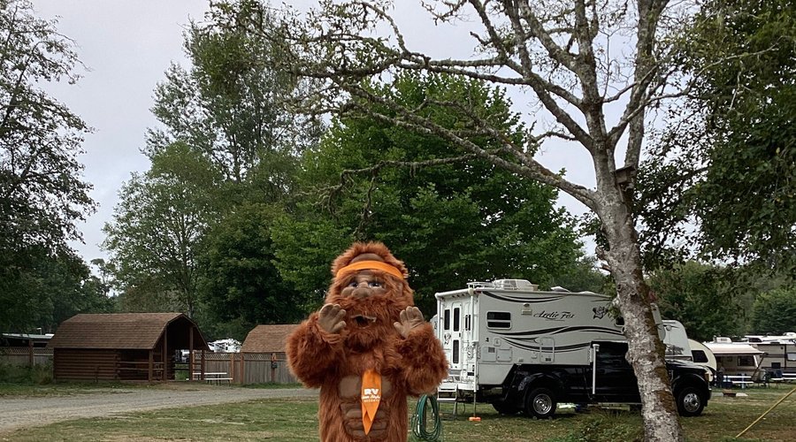 Squatchy Siting!