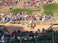 Puy du Fou France - August visit to an amazing French theme park - Smudged  Postcard