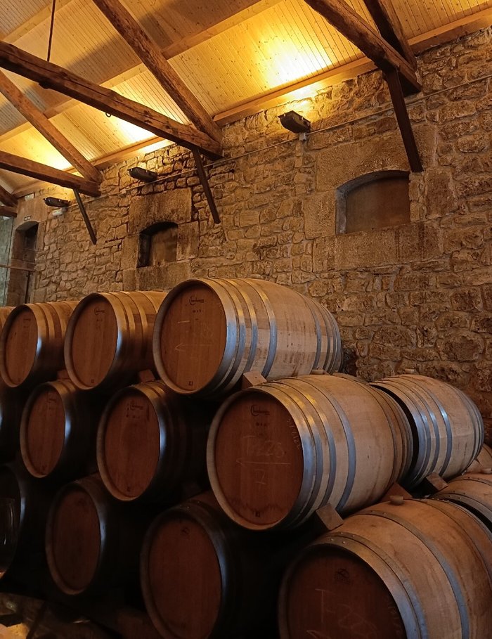 Imagen 10 de Bodegas y Viñedos Gómez Cruzado