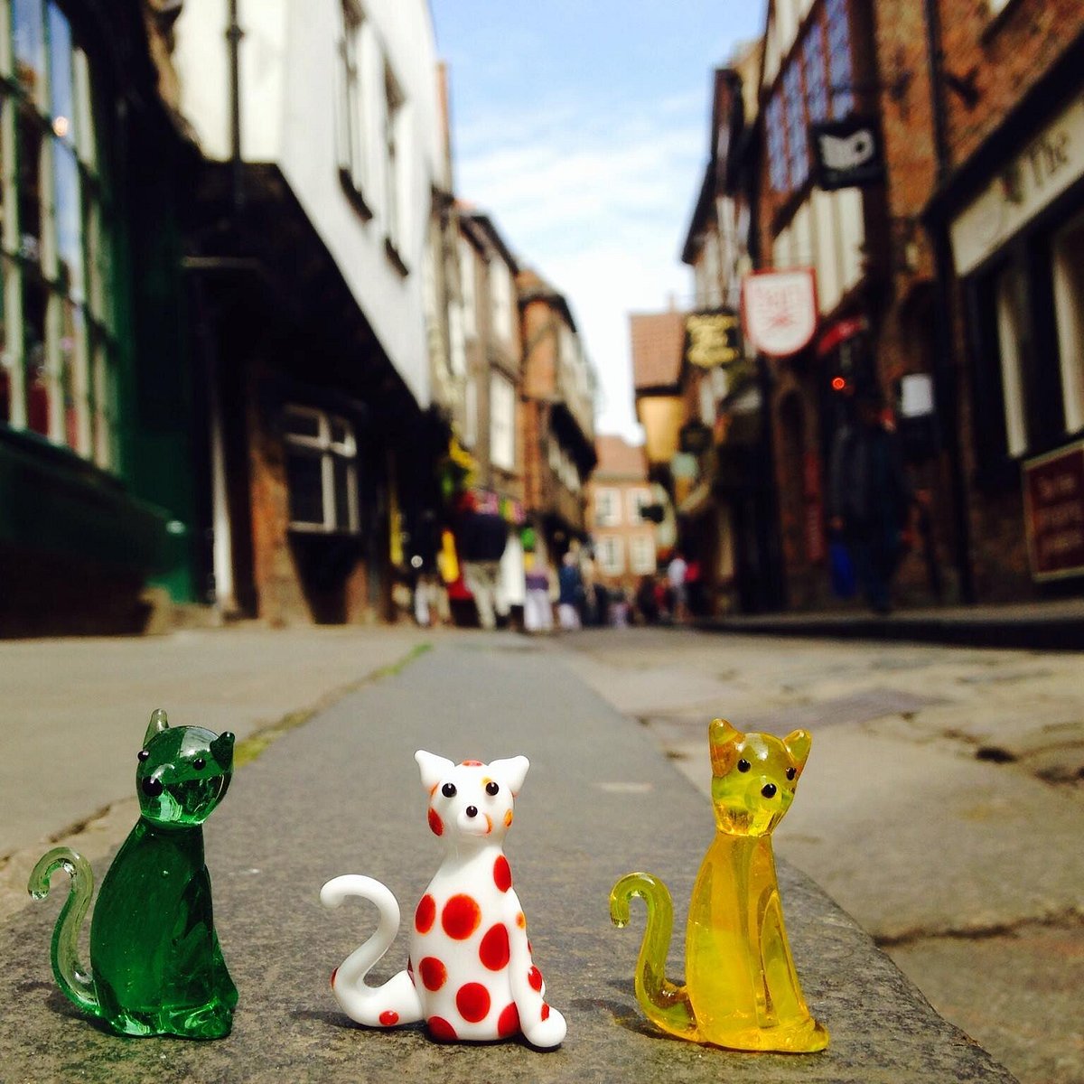 York Cat Trail, Йорк: лучшие советы перед посещением - Tripadvisor