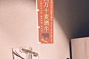 旅行者の写真