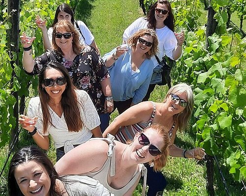 winery tours new zealand