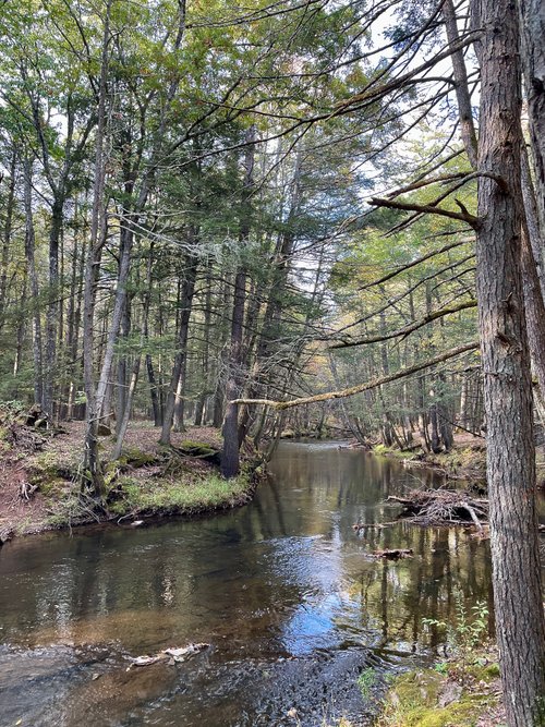 RIP VAN WINKLE CAMPGROUNDS Updated 2023 Prices & Campground Reviews (Saugerties, NY)