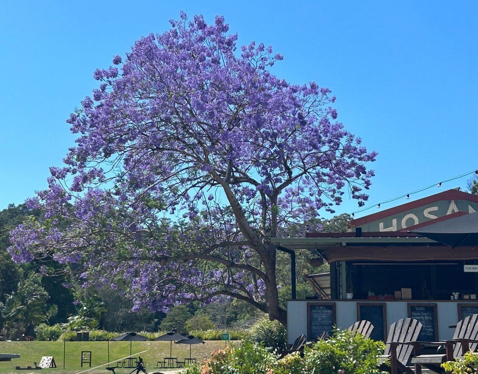 Better By Bike - Murwillumbah & Byron Bay - All You Need to Know BEFORE You Go (with Photos)