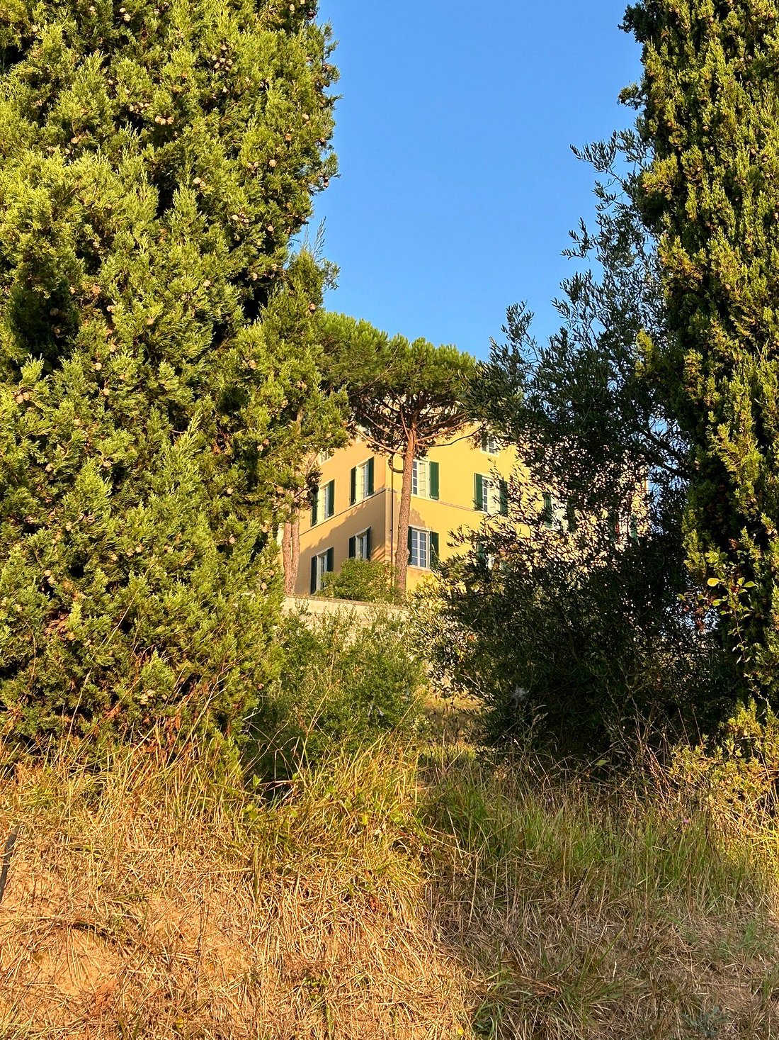 VILLA CASAFORTE DI BISONE, Cisano Bergamasco - Ristorante Recensioni & Foto  - Tripadvisor