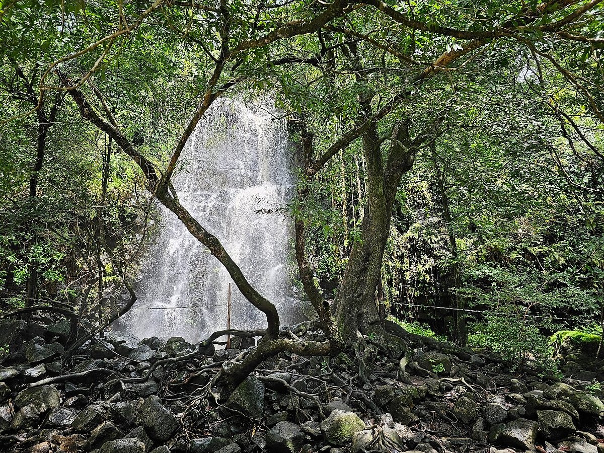 Tours with Frank the Tank Costa Rica - All You Need to Know BEFORE You Go  (with Photos)