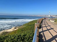 La Jolla Cove Seal Beach - Picture of La Jolla, San Diego - Tripadvisor