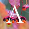 Aberglasney_Gardens