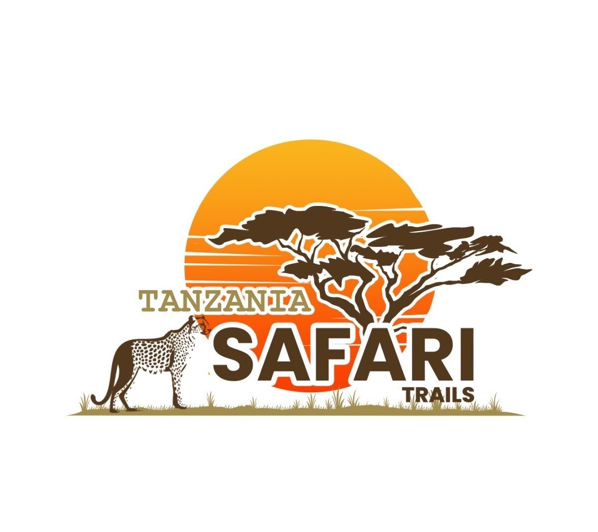 Tanzania Safari Trails Dmc Ltd - All You Need to Know BEFORE You Go (2024)