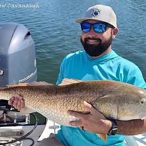 Osterfish Charters (Ponce Inlet, FL): Address, Phone Number - Tripadvisor