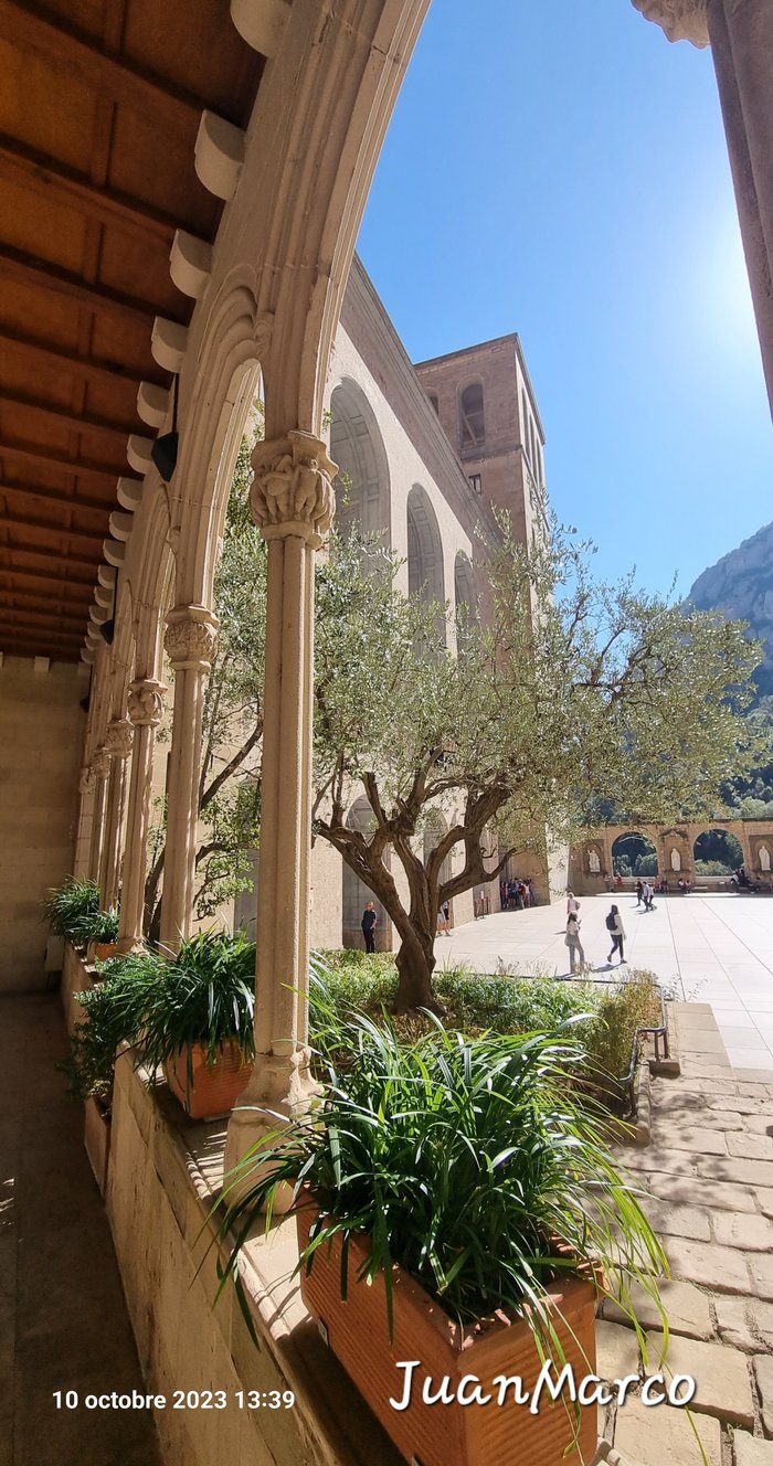 Imagen 5 de Abadia de Montserrat