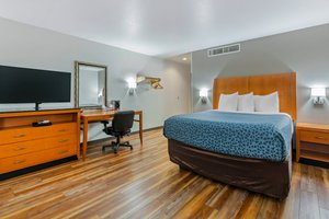 Room & Suite