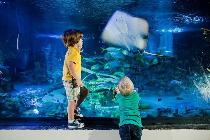 2023 SEA LIFE Orlando Aquarium