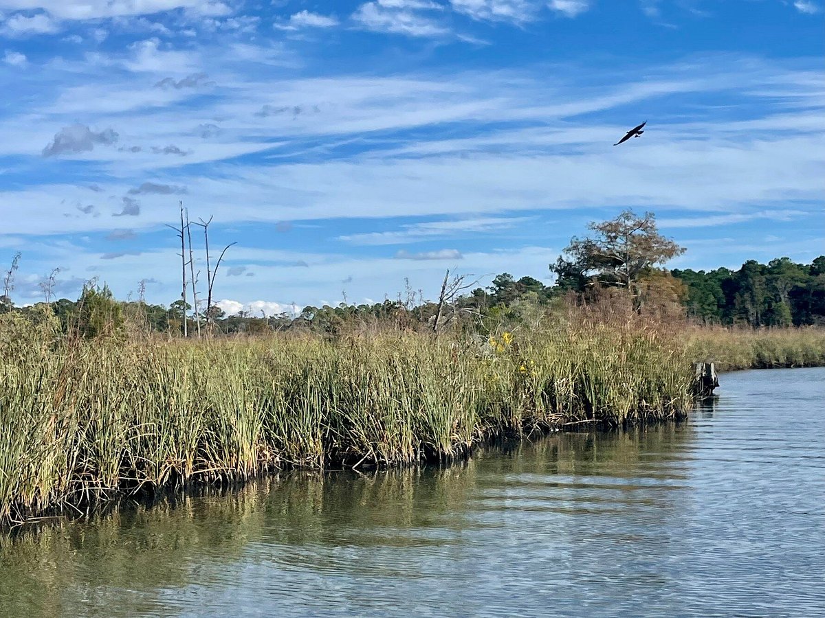 BD Long Deep Diver – Backwater.Outfitting