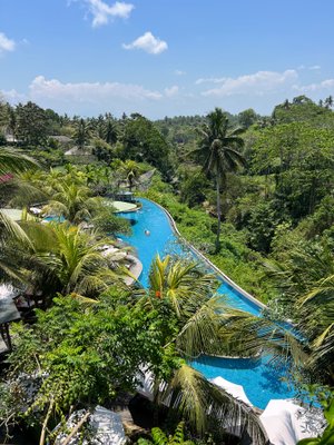 The Westin Resort & Spa Ubud, Bali $189 ($̶2̶0̶1̶) - Updated 2024 