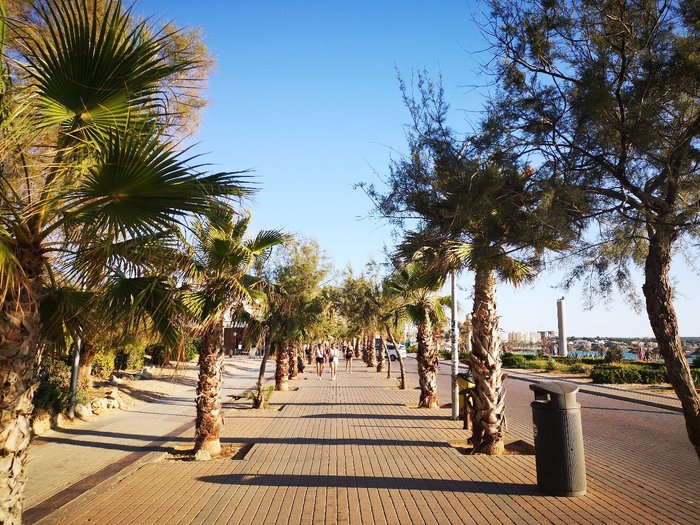 Imagen 5 de Playa de Palma, El Arenal (Platja de Palma, s'Arenal)