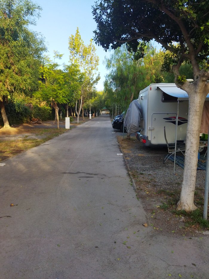 Imagen 8 de Camping Playa de Poniente