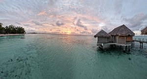 sable rose - Picture of Le Tikehau by Pearl Resorts - Tripadvisor